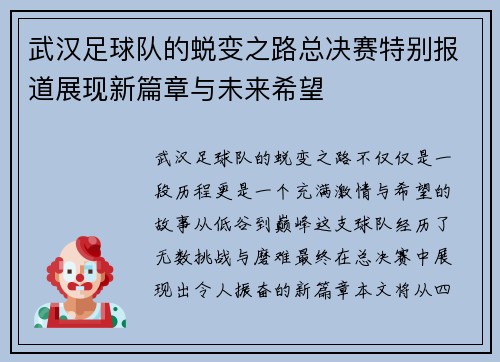 武汉足球队的蜕变之路总决赛特别报道展现新篇章与未来希望