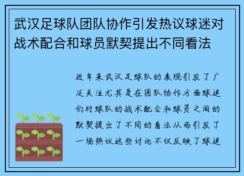 武汉足球队团队协作引发热议球迷对战术配合和球员默契提出不同看法